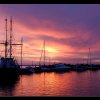 20100713_0091